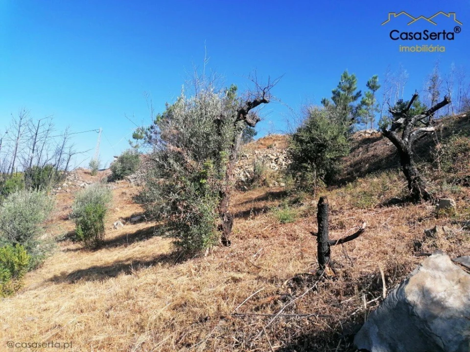 Terreno para Venda em Ermida e Figueiredo Foto 4