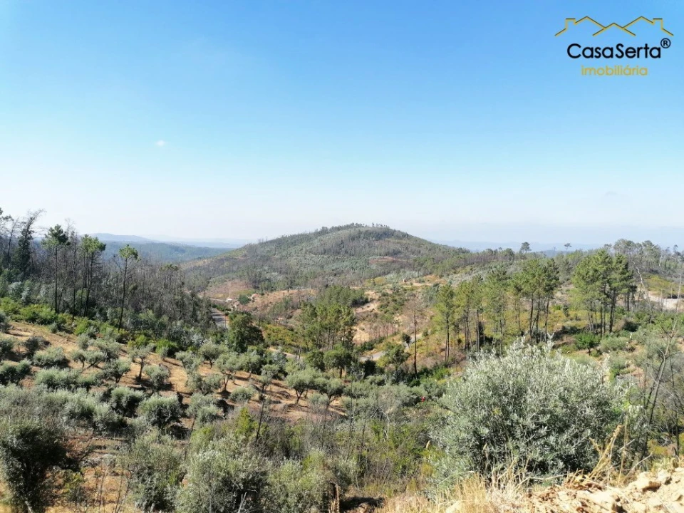 Terreno para Venda em Ermida e Figueiredo Foto 9