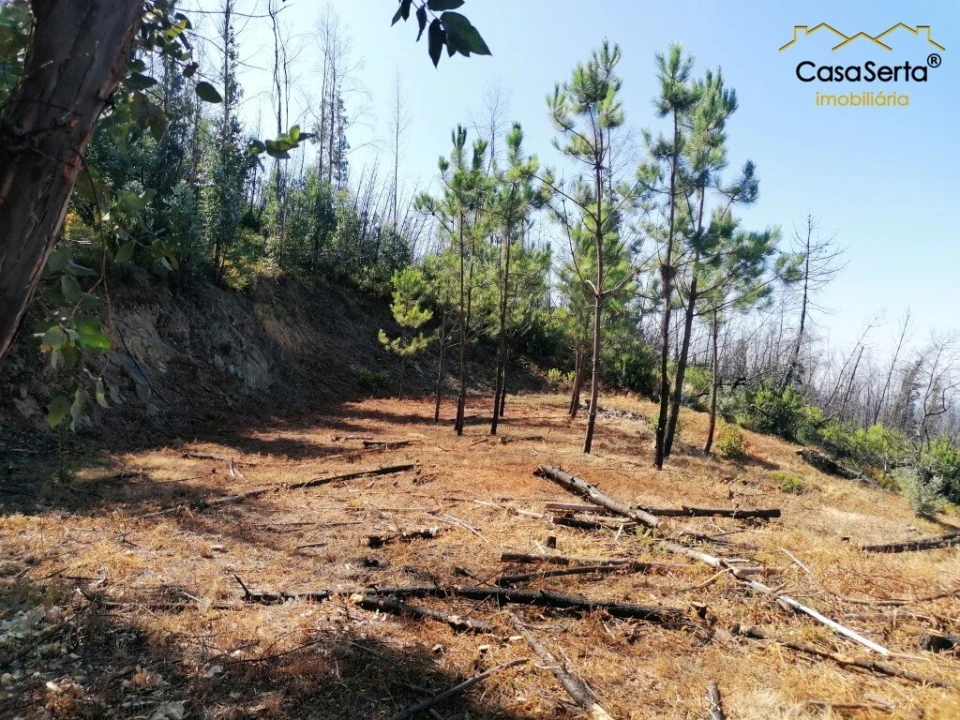 Terreno para Venda em Ermida e Figueiredo Foto 7