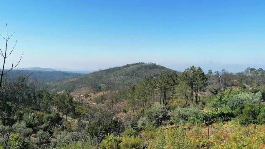 Terreno para Venda em Ermida e Figueiredo