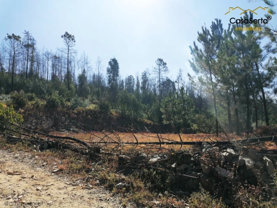 Terreno para Venda em Ermida e Figueiredo Foto 11