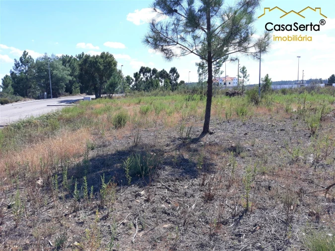 Terreno para Venda em Mação, Penhascoso e Aboboreira Foto 1