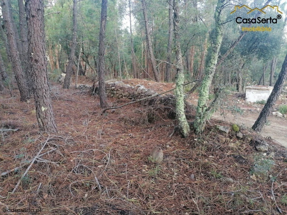 Terreno para Venda em Proença-A-Nova e Peral Foto 2