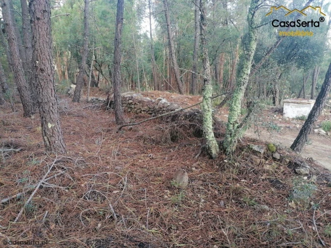 Terreno para Venda em Proença-A-Nova e Peral Foto 2