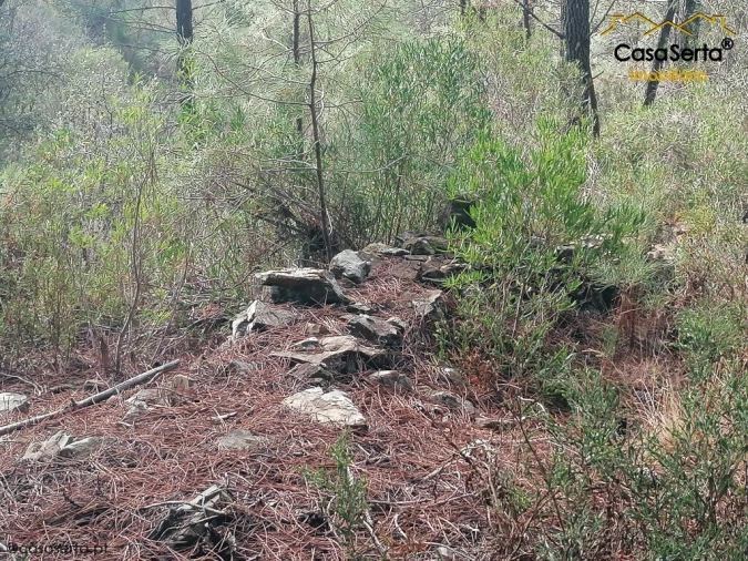 Terreno para Venda em Proença-A-Nova e Peral Foto 5