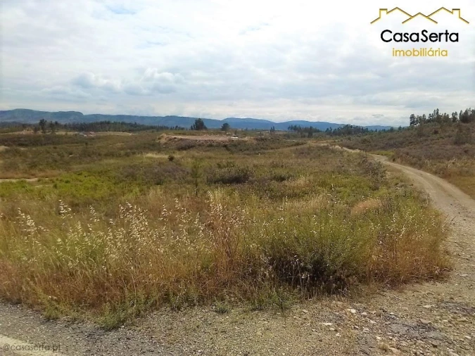 Terreno para Arrendamento em São Pedro do Esteval Foto 6