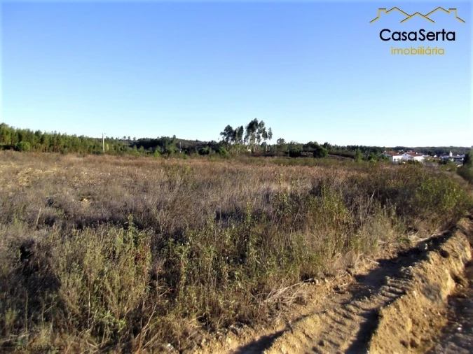 Terreno para Arrendamento em São Pedro do Esteval