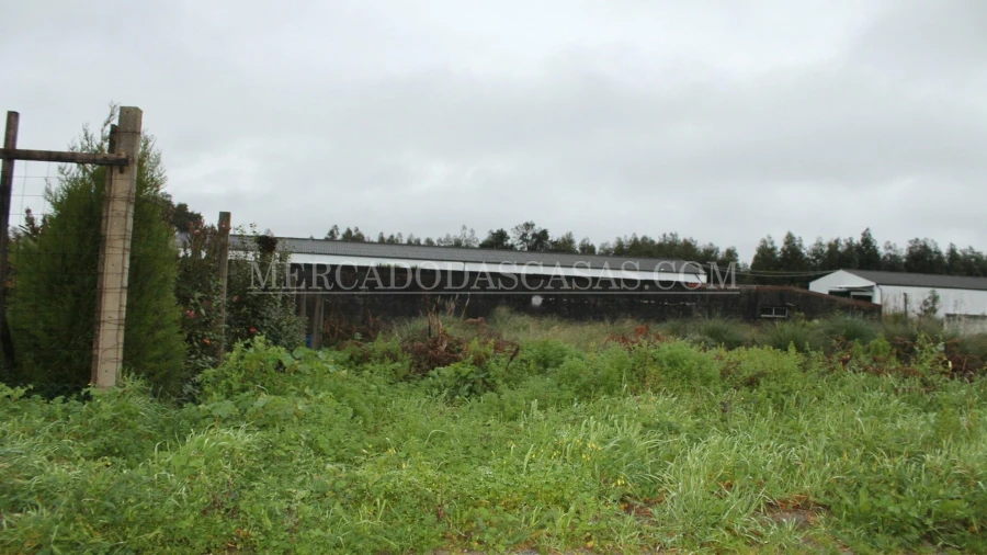 Terreno para Venda em Santa Maria de Lamas Foto 2