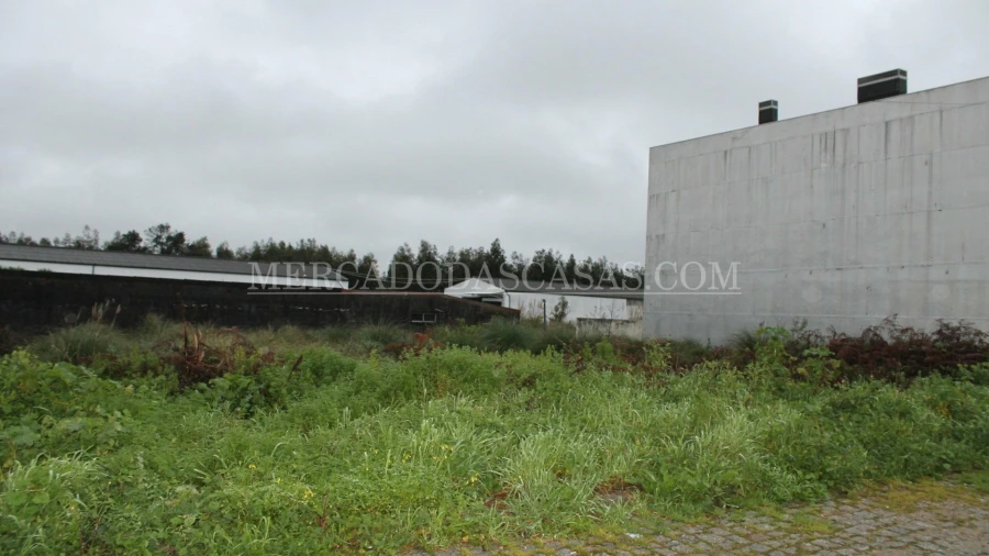 Terreno para Venda em Santa Maria de Lamas