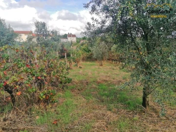 Terreno para Venda em Sertã