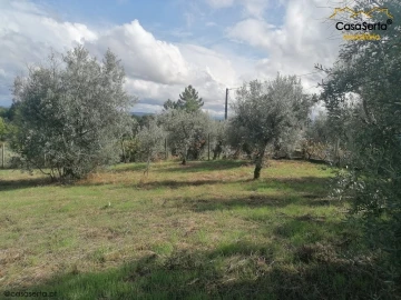 Terreno para Venda em Sertã