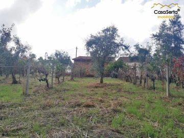 Terreno para Venda em Sertã