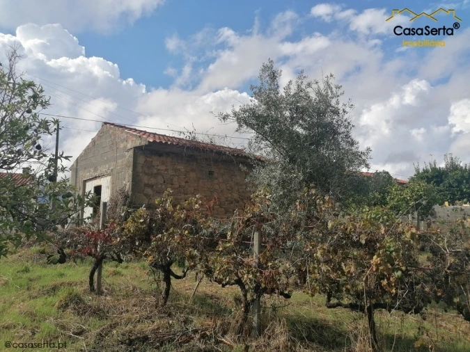 Terreno para Venda em Sertã Foto 9