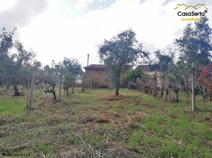 Terreno para Venda em Sertã Foto 10