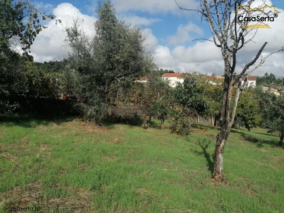 Terreno para Venda em Sertã Foto 13