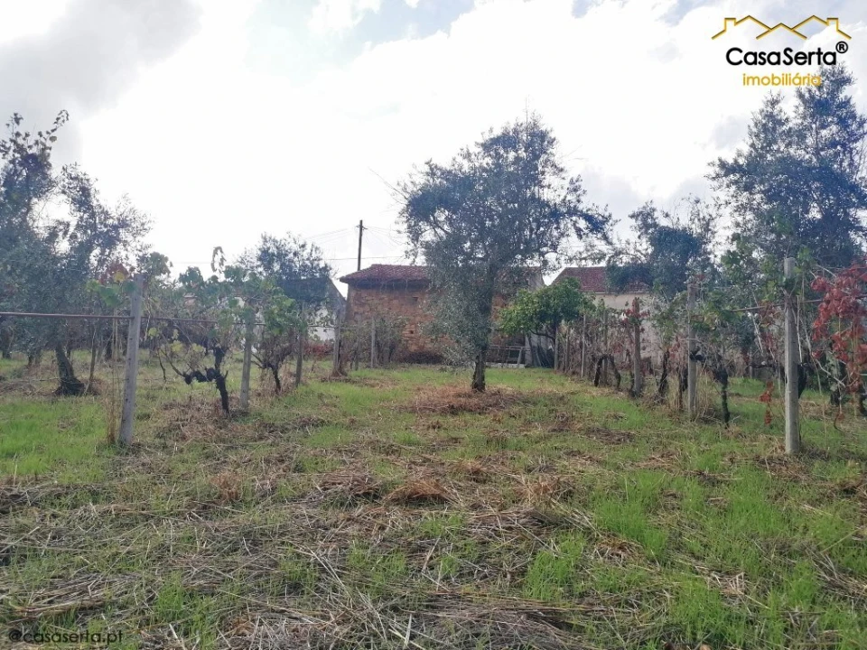 Terreno para Venda em Sertã Foto 10