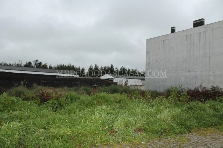Terreno para Venda em Santa Maria de Lamas