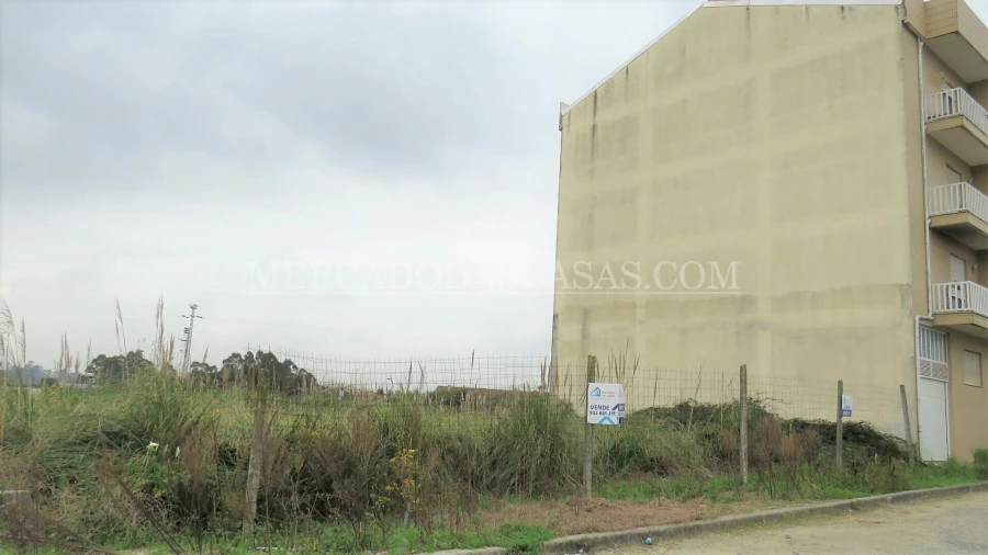 Terreno para Venda em Milheiros de Poiares Foto 3