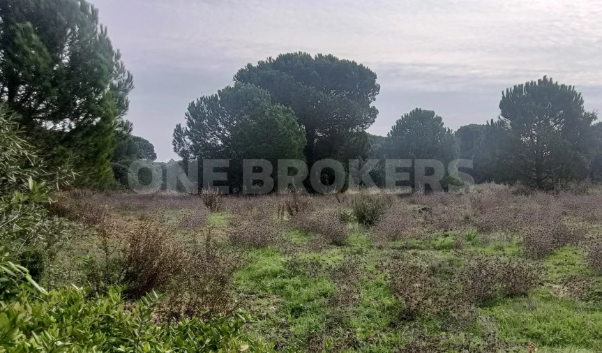 Terreno para Venda em Santo Estêvão Foto 1