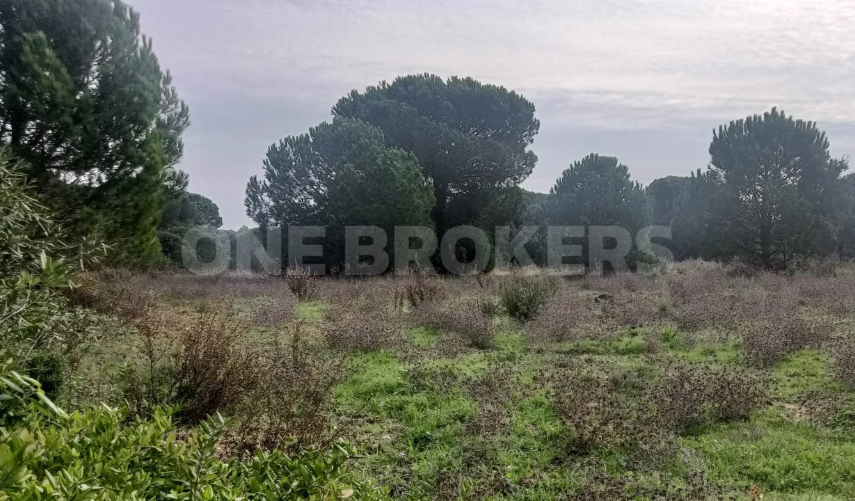 Terreno para Venda em Santo Estêvão Foto 1