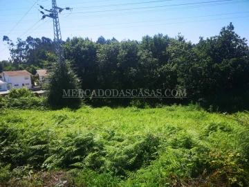 Terreno para Venda em São Paio de Oleiros