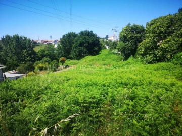 Terreno para Venda em São Paio de Oleiros