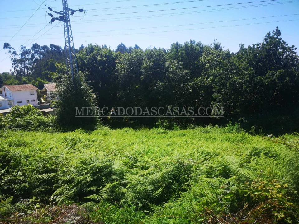 Terreno para Venda em São Paio de Oleiros Foto 3