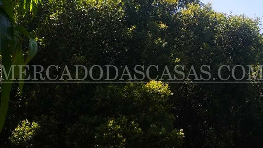Terreno para Venda em São Paio de Oleiros