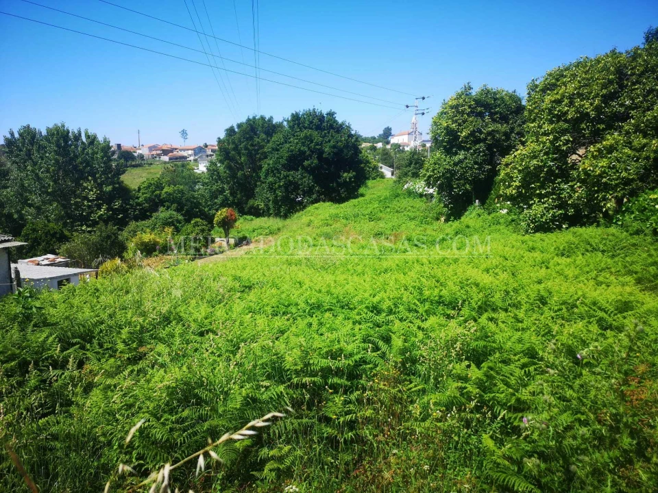 Terreno para Venda em São Paio de Oleiros Foto 2