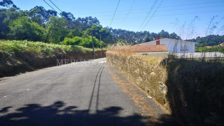 Terreno para Venda em São Paio de Oleiros Foto 6