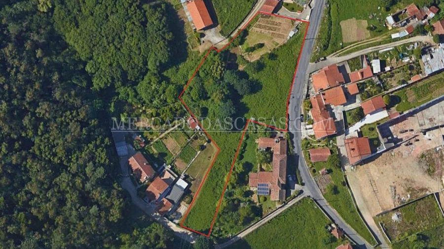 Terreno para Venda em São Paio de Oleiros Foto 3