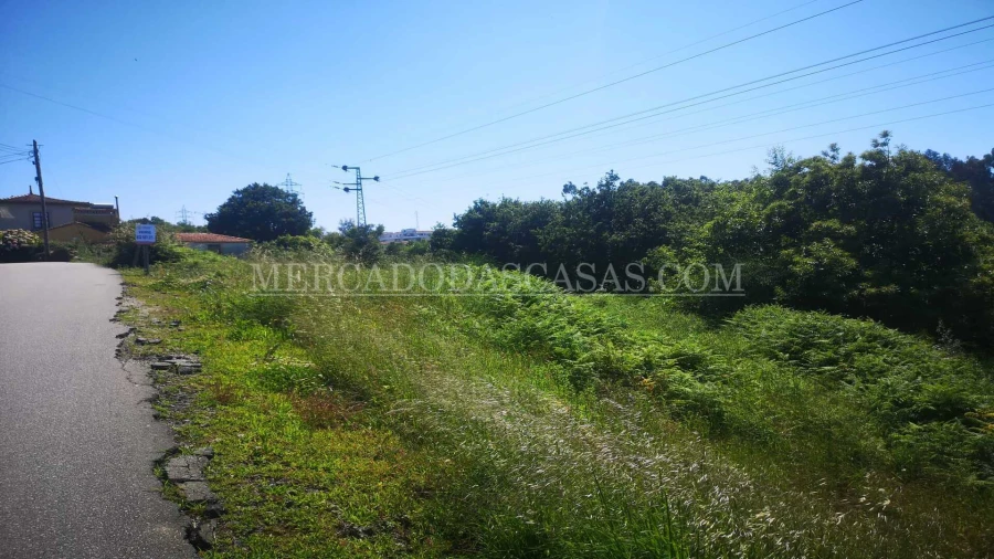 Terreno para Venda em São Paio de Oleiros Foto 5