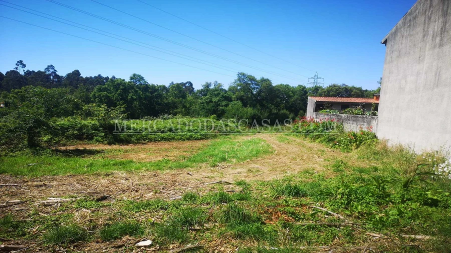 Terreno para Venda em São Paio de Oleiros Foto 2