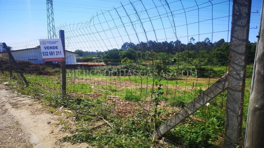 Terreno para Venda em São Paio de Oleiros Foto 4