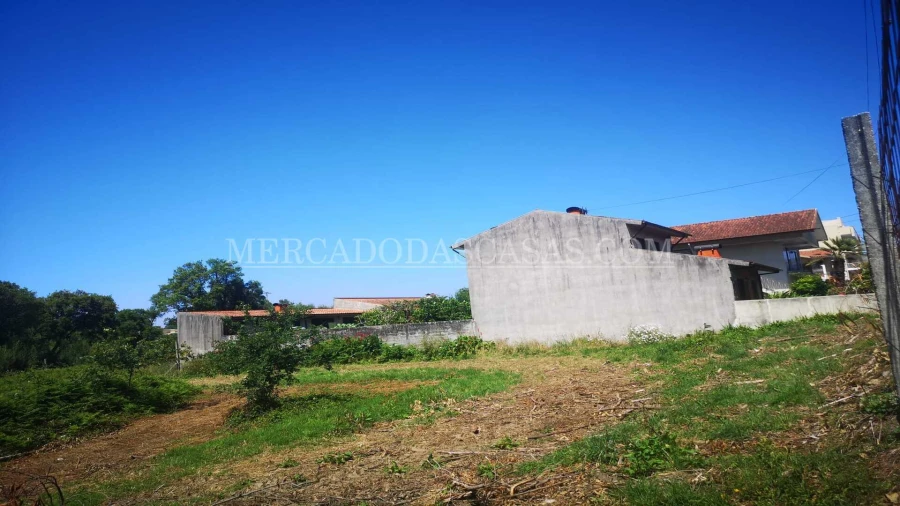 Terreno para Venda em São Paio de Oleiros Foto 3