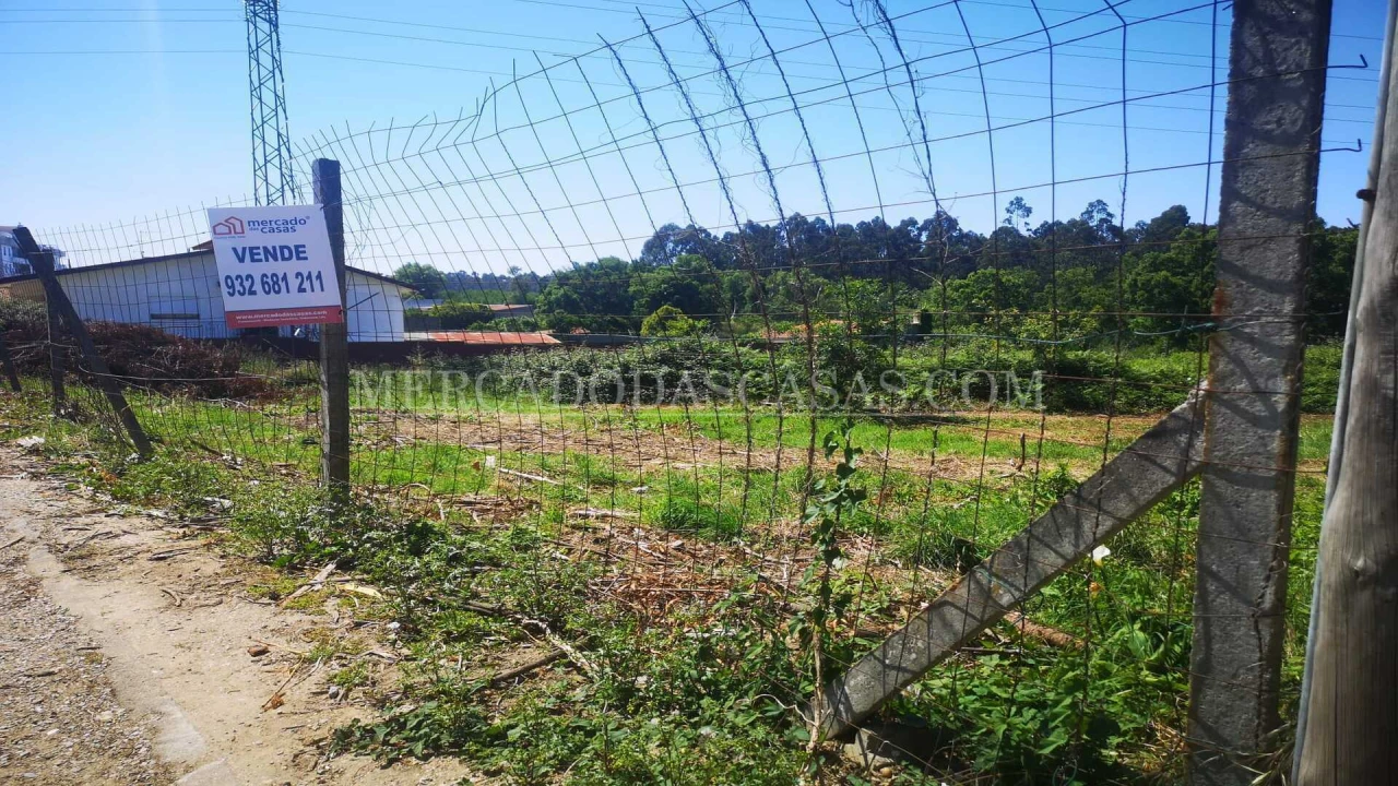 Terreno para Venda em São Paio de Oleiros Foto 4