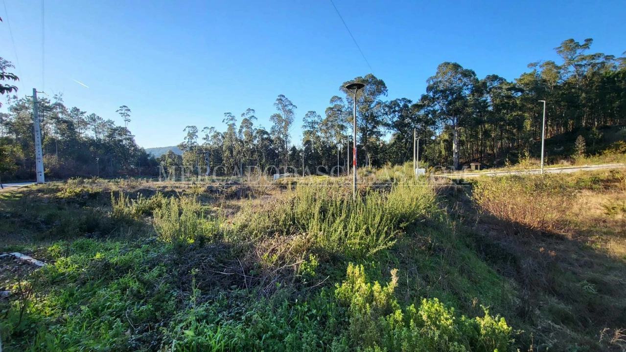 Terreno para Venda em Fajões Foto 7