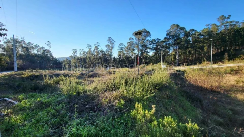 Terreno para Venda em Fajões