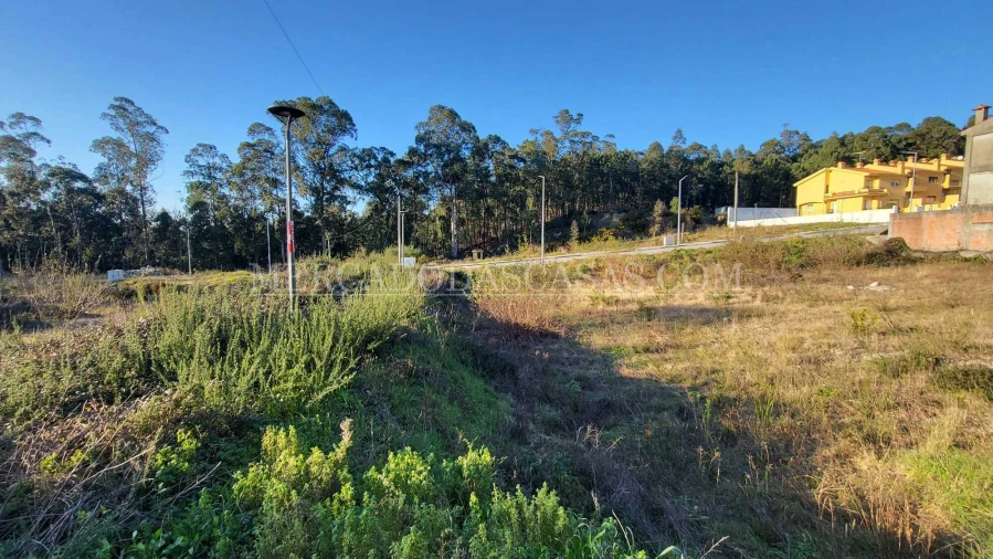 Terreno para Venda em Fajões Foto 9
