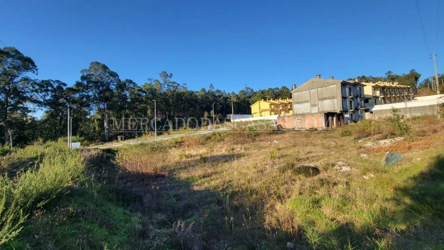 Terreno para Venda em Fajões Foto 5