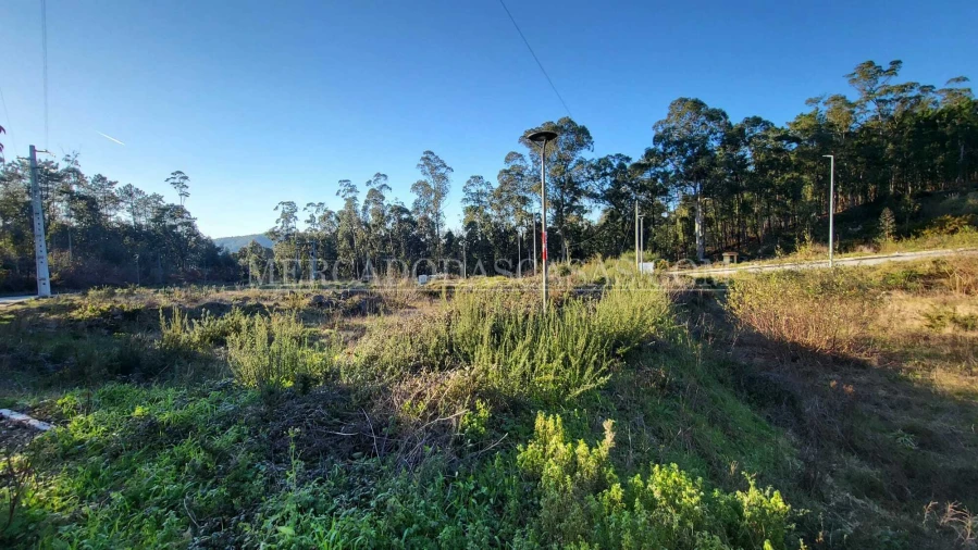 Terreno para Venda em Fajões Foto 8