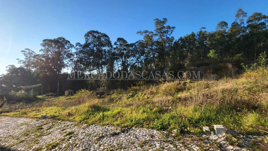 Terreno para Venda em Fajões Foto 4