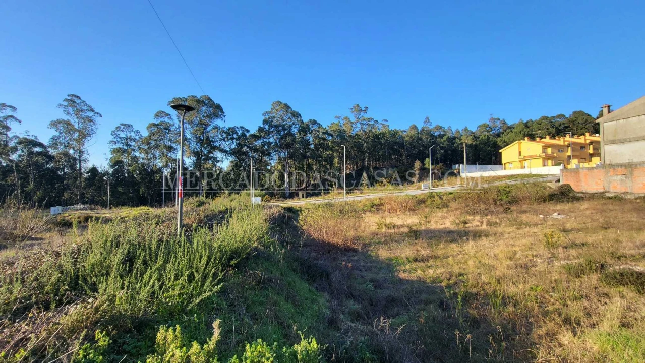 Terreno para Venda em Fajões Foto 6