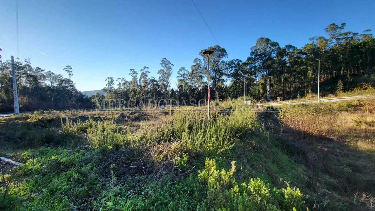 Terreno para Venda em Fajões Foto 8