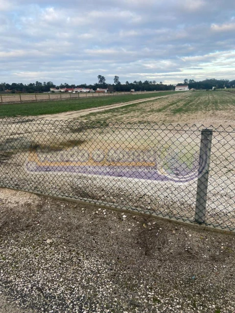 Terreno para Venda em Salvaterra de Magos e Foros de Salvaterra