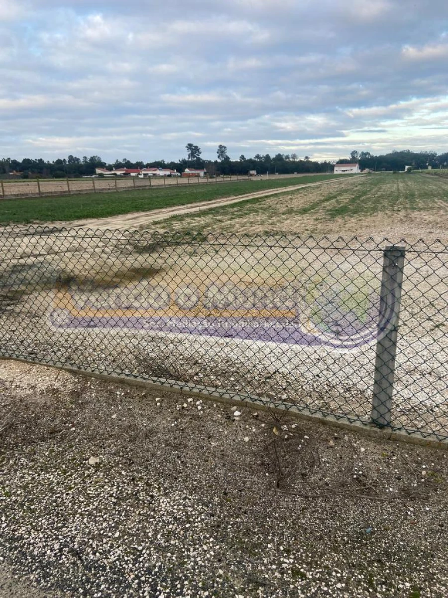 Terreno para Venda em Salvaterra de Magos e Foros de Salvaterra Foto 2