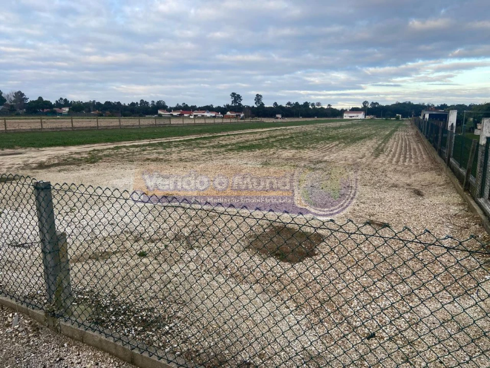 Terreno para Venda em Salvaterra de Magos e Foros de Salvaterra Foto 4