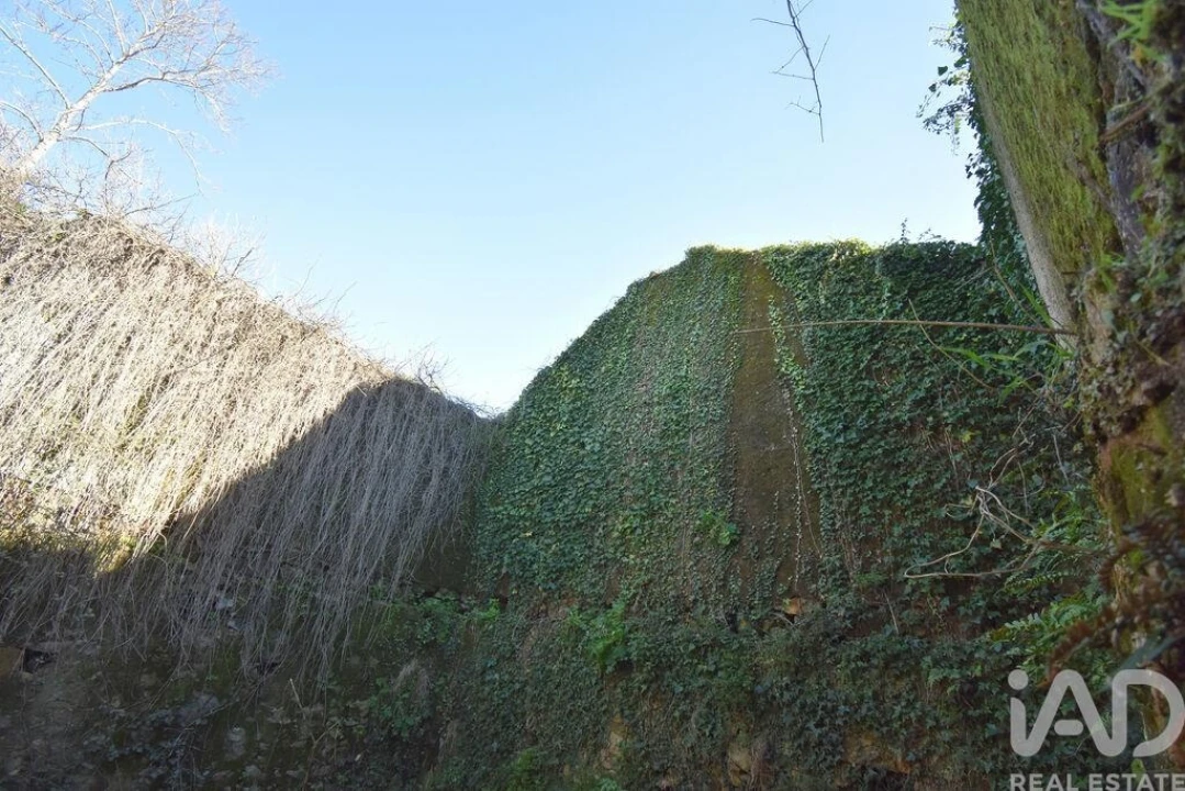 Moradia para Venda em Espinhal Foto 18