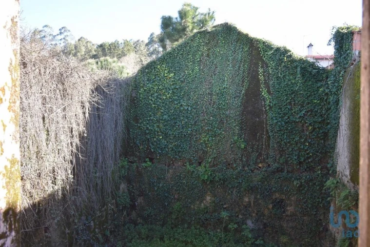 Moradia para Venda em Espinhal Foto 12