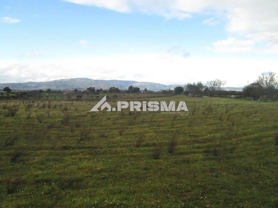Terreno para Venda em Lardosa Foto 27